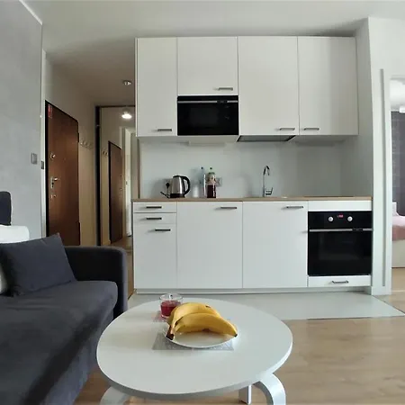 Appartamento Old Town Mirror - Garage *