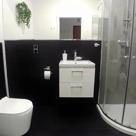 Appartamento Old Town Mirror - Garage