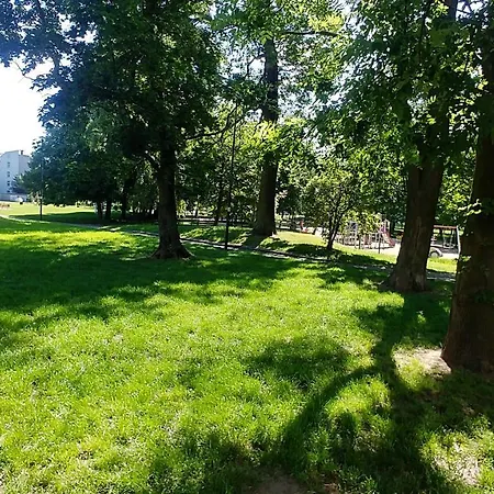 Old Town Mirror - Garage * Danzica